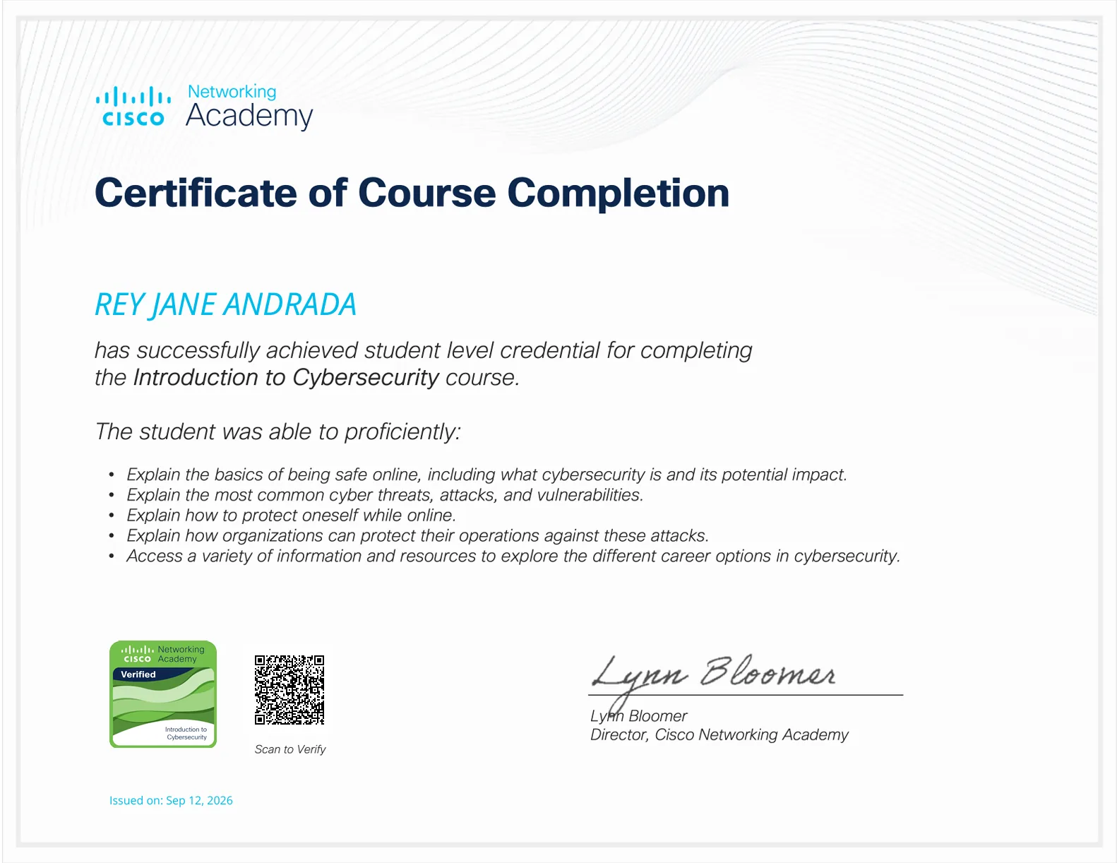 Introduction to Cybersecurity certificate